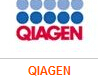 QIAGEN OneStep RT-PCR Kit (100)210212