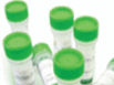 IHC Antigen Retrieval Solution – Low pH (10X)