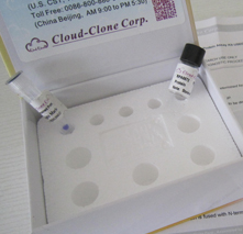 AxyPrep 血基因组DNA中量制备试剂盒