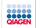 QIAGEN Plasmid Maxi Kit (10)