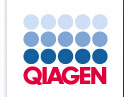 QIAGEN OneStep RT-PCR Kit (100)